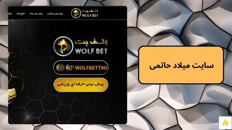 سایت میلاد حاتمی